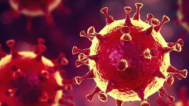 coronavirus
