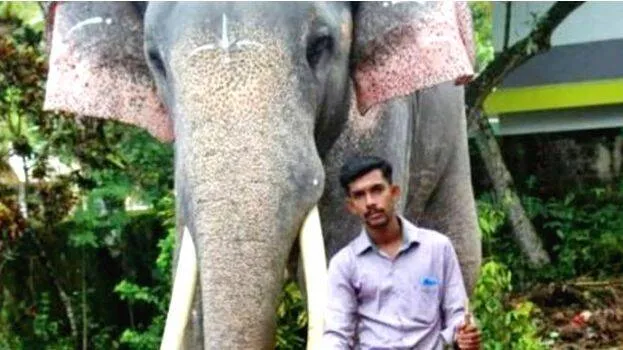 vishnu-