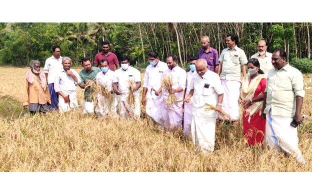 vilaveduppu vilaveduppu