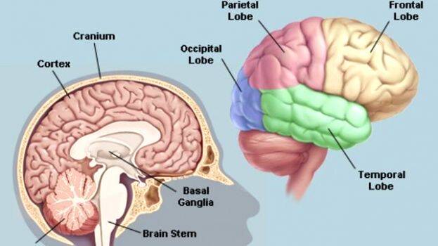 amritha-viswa-vidya-peeda amritha-viswa-vidya-peeda
