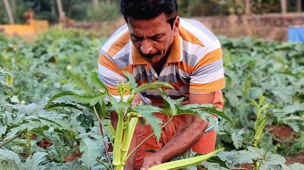 udyamangalam-sukumaran udyamangalam-sukumaran