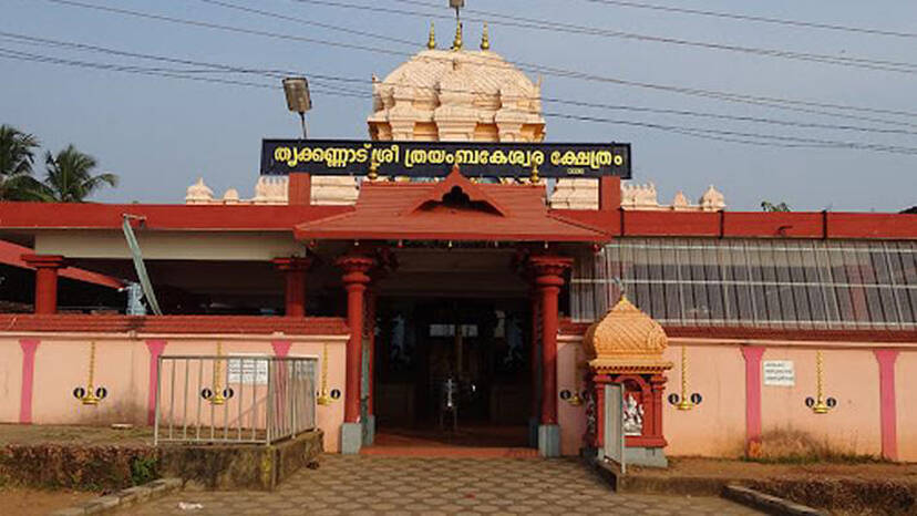 trikkannad trikkannad