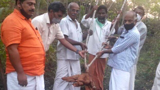 img20210214 img20210214