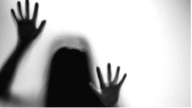 case-diary- case-diary-