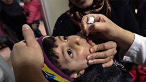 polio-drops polio-drops