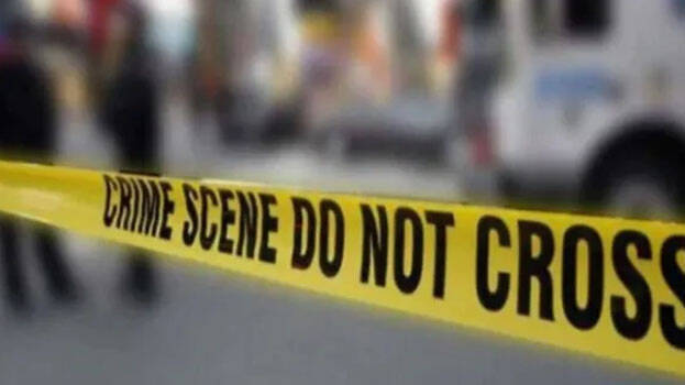 murder-case murder-case