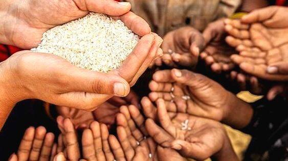 starve-to-death starve-to-death