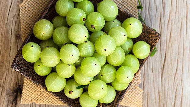 gooseberry gooseberry