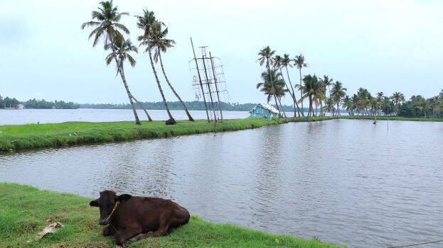 mizhiyoram mizhiyoram