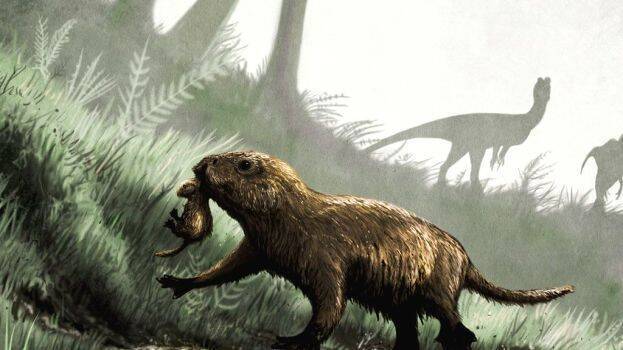 extinction-of-old-species extinction-of-old-species