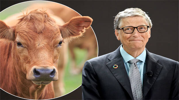 bill-gates bill-gates