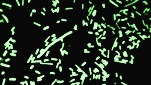 mmmmmmmmmm mmmmmmmmmm