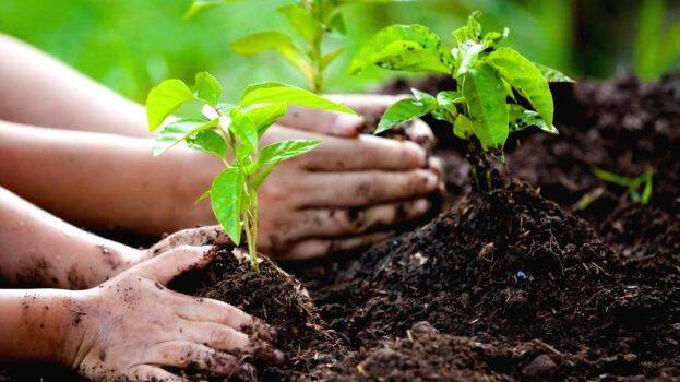 sugathavanam sugathavanam