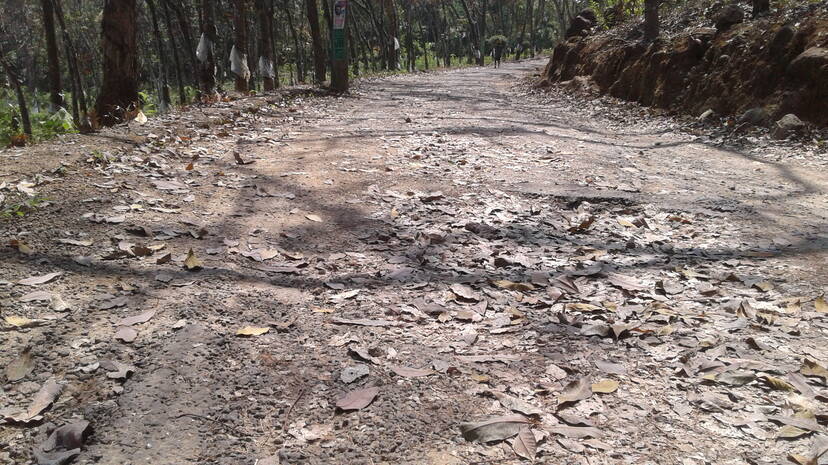 08-konnappara-road 08-konnappara-road