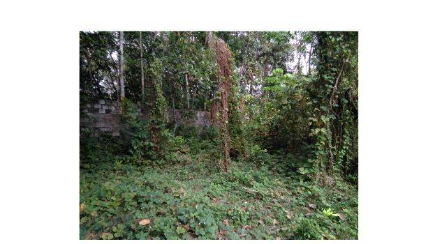 19-fire-station 19-fire-station