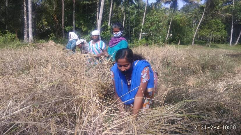 vilaveduppu vilaveduppu