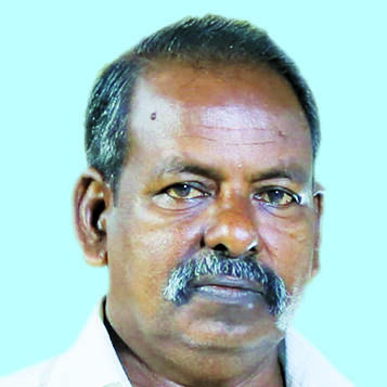 neepoli-66 neepoli-66