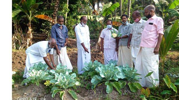 vegetables-chavara vegetables-chavara