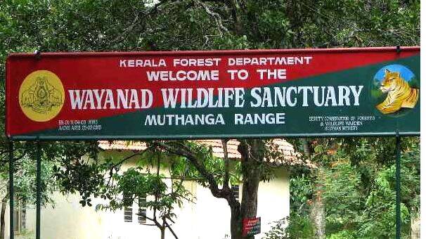 wayanad wayanad