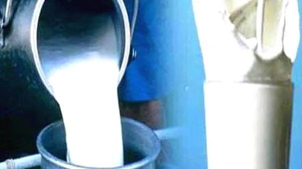 milk