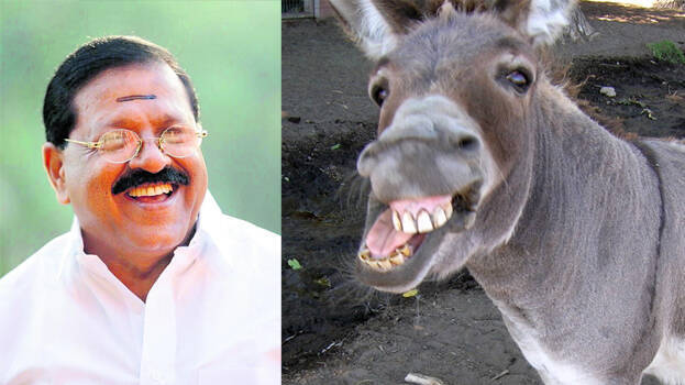 rajmohan-unnithan rajmohan-unnithan