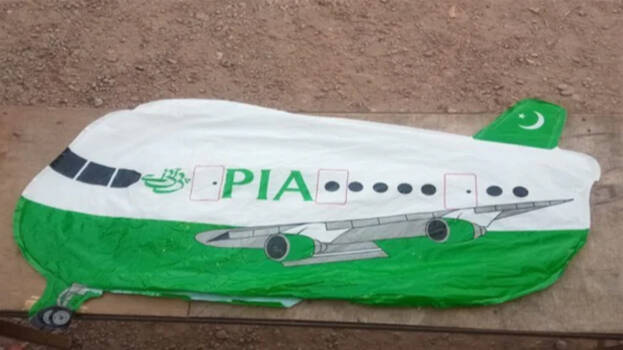 pia1 pia1