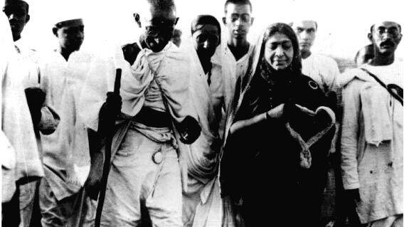 dandi-march dandi-march