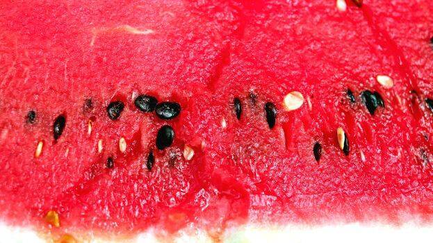 eeeeeeeeeeeeeeee eeeeeeeeeeeeeeee