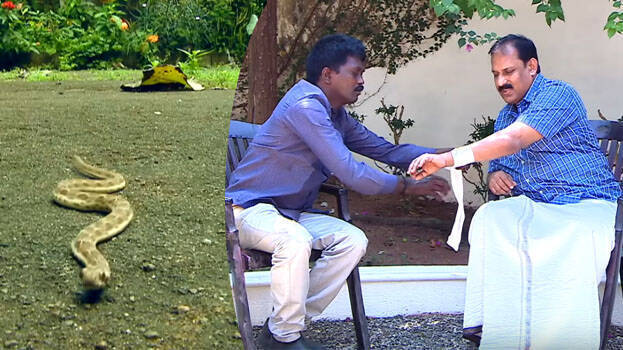 snake-master snake-master