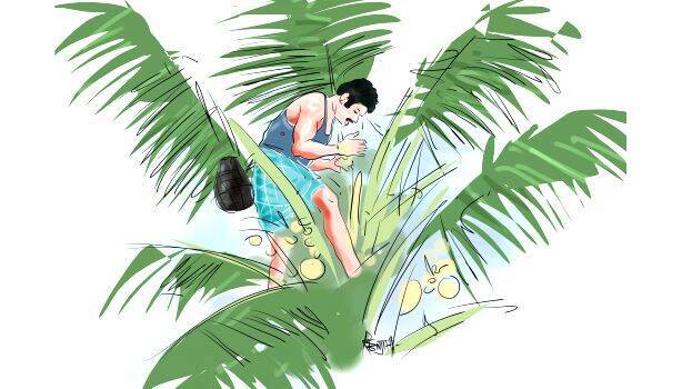 thengu-chethu thengu-chethu