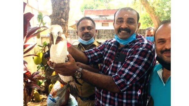 desadanapakshi desadanapakshi