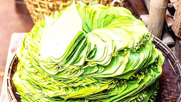 betal-leaves betal-leaves