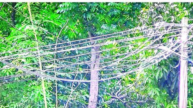 vettikuzhakavala vettikuzhakavala