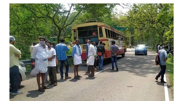bus
