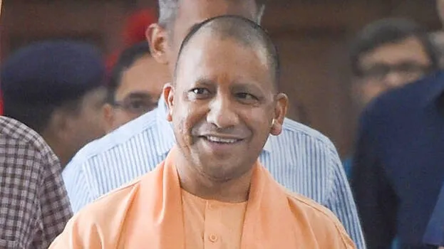 yogi