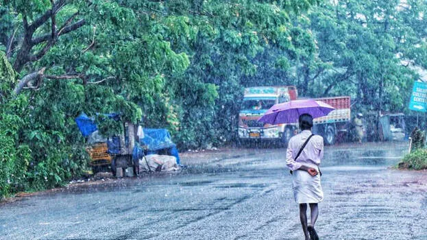 rain