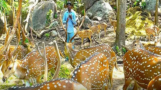 snake-master snake-master