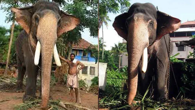 sivakumar