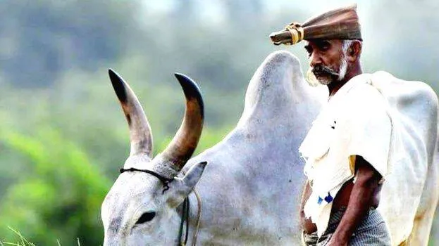 kalappa