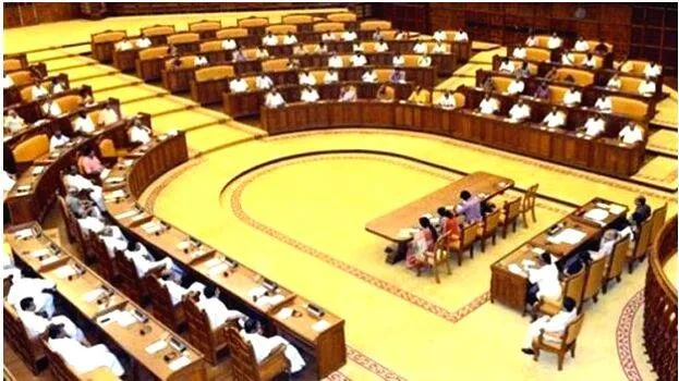 dewasawm-board
