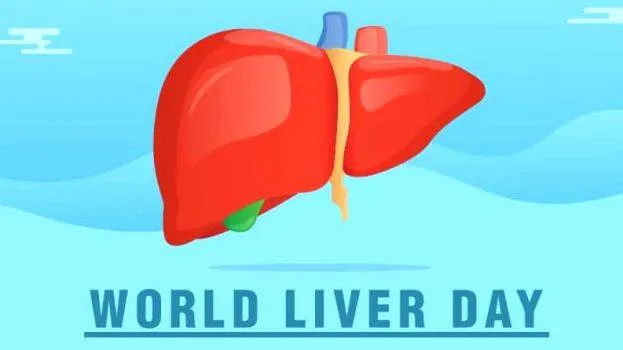 liver-day