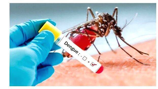 dengue