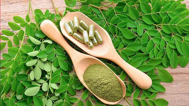 moringa