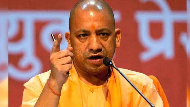 yogi