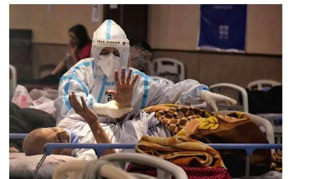 haryana-fever