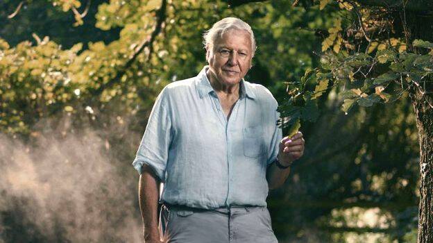 david-attenborough