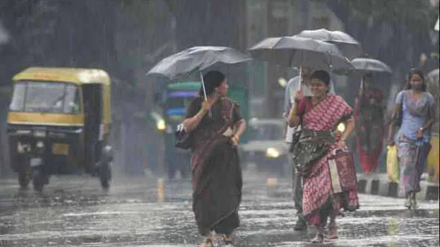 rain