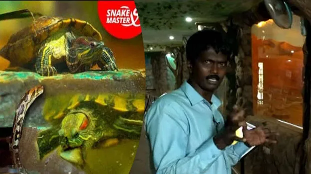 snake-master