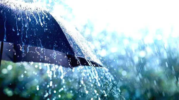 rain