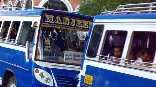 bus